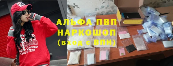 стаф Балахна