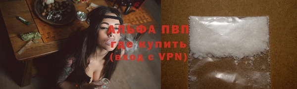 стаф Балахна