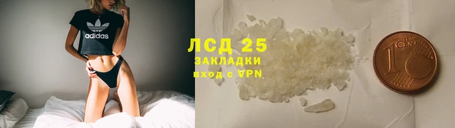 стаф Балахна