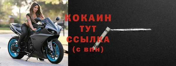 стаф Балахна